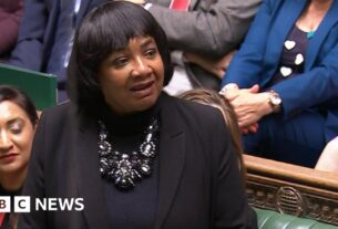Ministro nega o trabalho quer Diane Abbott fora do partido
