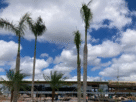 ONU cobra do Brasil plano de hospedagem para a COP30