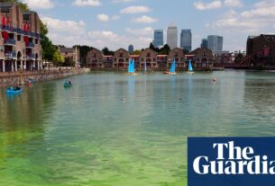 Os ministros prometem enfrentar todas as formas de poluição da água na Inglaterra e no País de Gales | Ambiente