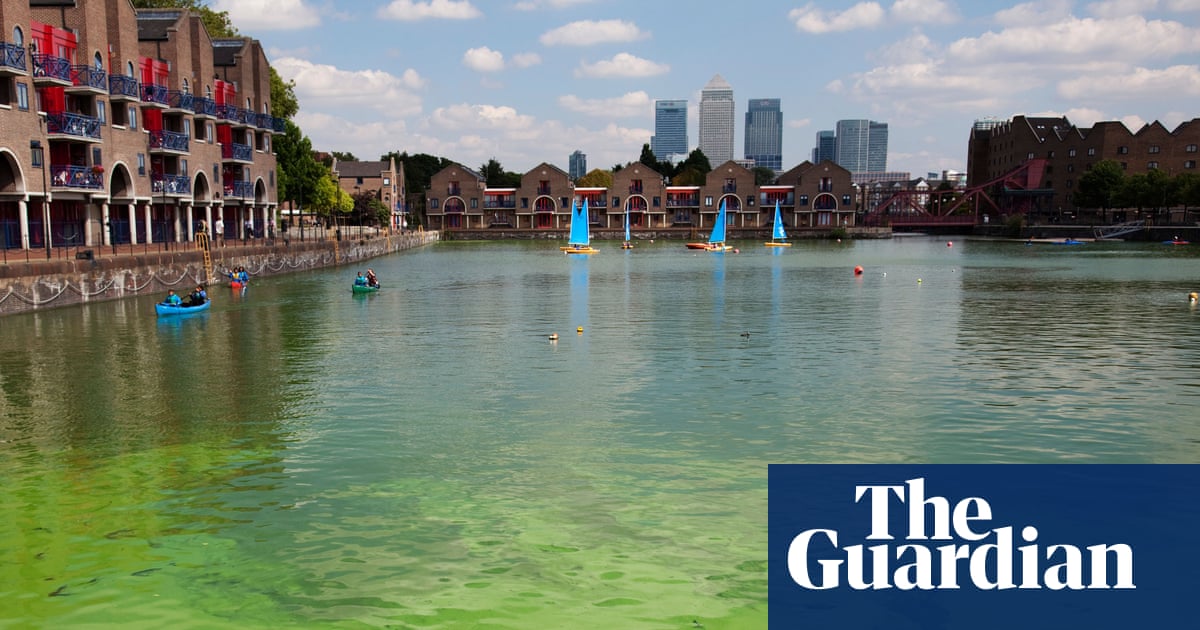 Os ministros prometem enfrentar todas as formas de poluição da água na Inglaterra e no País de Gales | Ambiente