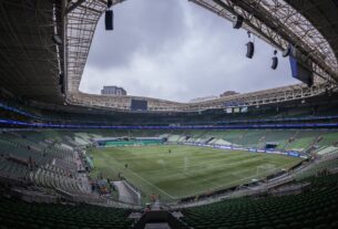Palmeiras e WTorre estudam trocar o gramado do Allianz Parque
