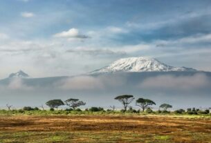 Pesquisadores fazem descoberta surpreendendo e encontram rãs a 4.000 metros de altitude na Tanzânia