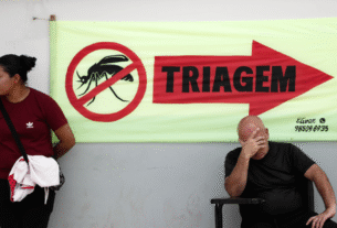 São Paulo tem queda de 90,5% nos casos confirmados de dengue