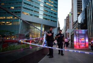 Trump chama ataque a tiros em Nova York de violência ‘sem sentido’ cometida por um ‘lunático’