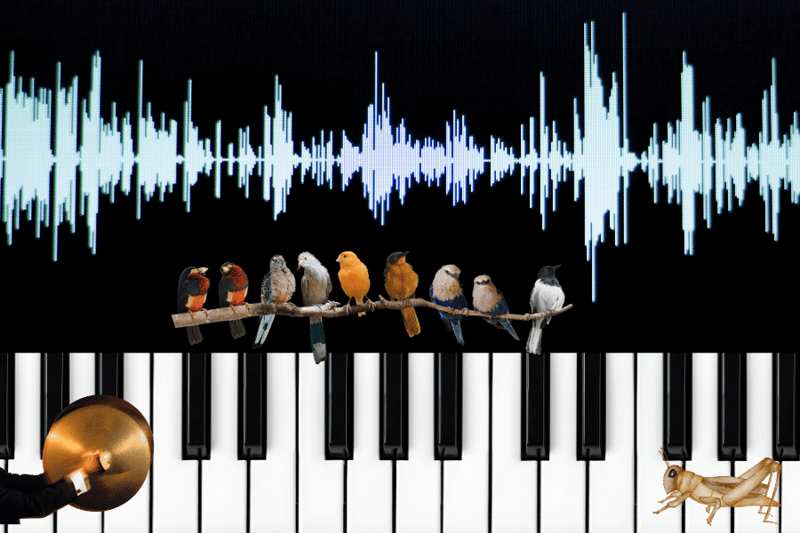 Você pode fazer seu podcast parecer ótimo?