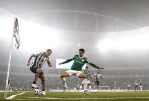 Botafogo não transforma domínio em gols, perde para o Palmeiras e segue longe do pelotão de frente do Brasileiro