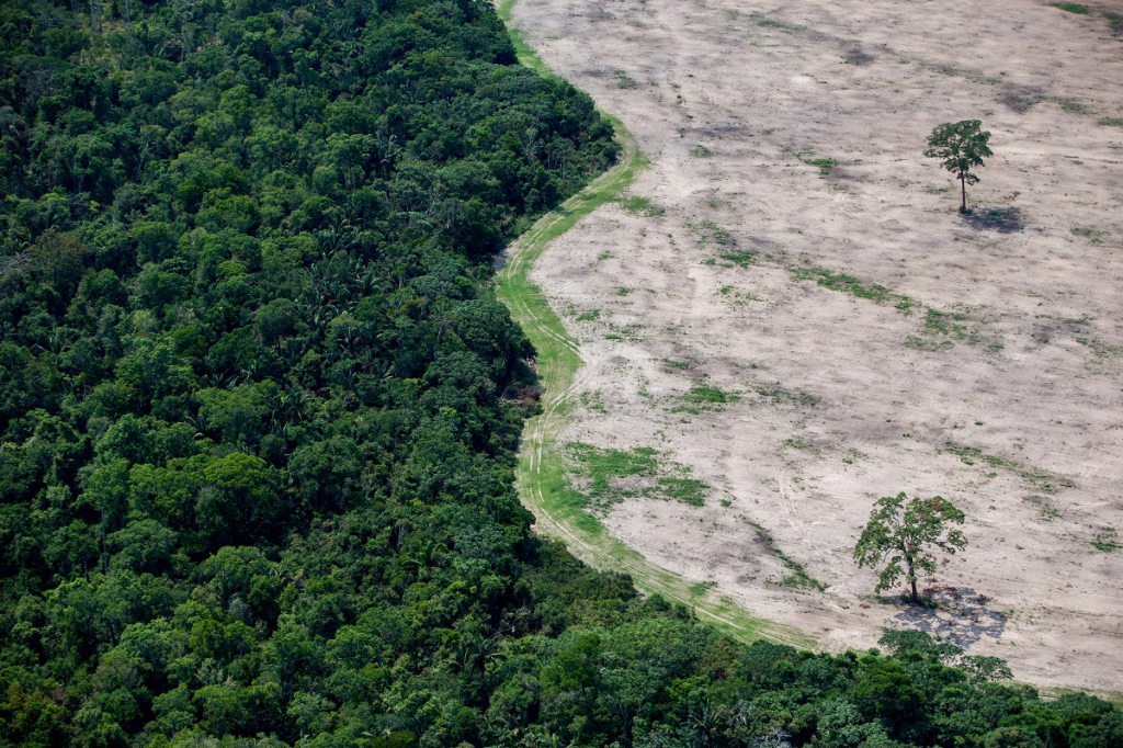 Brasil perdeu 111,7 milhões de hectares de áreas naturais em 40 anos