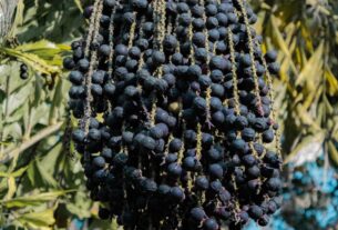China ressalta interesse por produtos do Brasil, como café e açaí
