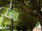 Os membros do Partido Verde começam a escolher uma nova liderança