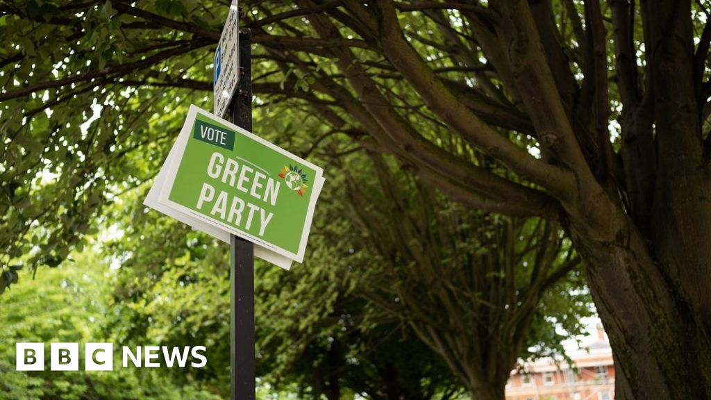 Os membros do Partido Verde começam a escolher uma nova liderança