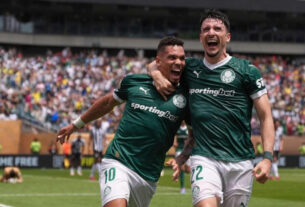 Palmeiras reencontra Botafogo e quer repetir no Brasileirão o sucesso do Mundial