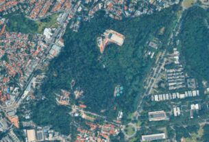 Projeto que permite corte de árvores e prédio industrial no Instituto Butantan deve ser votado semana que vem pela Câmara de SP