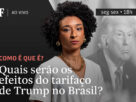 Quais serão os efeitos do tarifaço de Trump no Brasil? - 01/08/2025 - Tv Folha