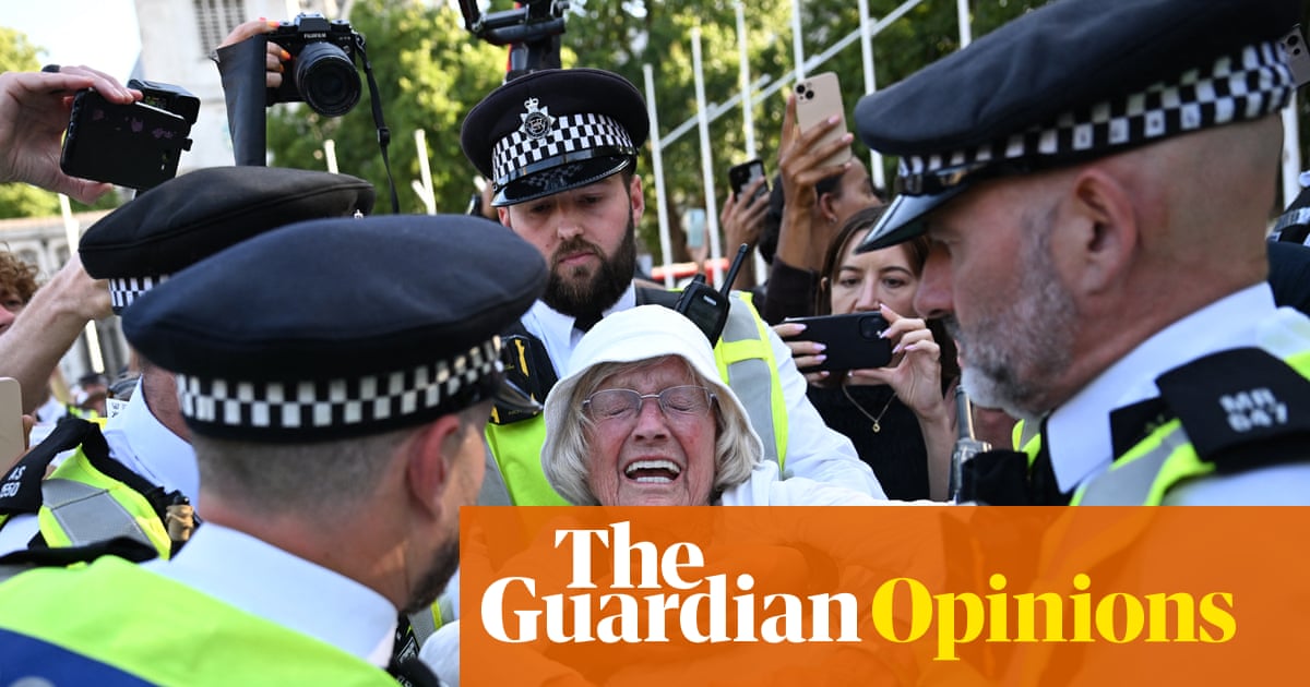 Raiva, medo e uma total rejeição da política: o protesto da ação da Palestina foi um instantâneo da Grã -Bretanha hoje | Andy Beckett