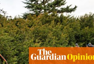 Se os boomers não querem impostos sobre a riqueza, eles podem dedicar seu tempo e habilidades | Phillip Inman