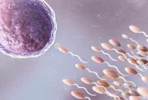 Seleção genética de embriões pode moldar o futuro de seus filhos?