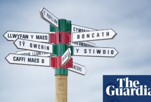 'Somos o Partido da Ambição': Cymru xadrez se propõe a derrubar o trabalho | Política galesa