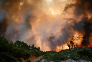 Vídeo: incêndio na França destrói 13.000 hectares, força moradores a fugir e deixa um morto